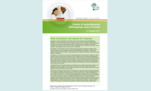 Cover of the RRA on chikungunya in France, 2017 Thumbnail