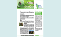 Cover of the factsheet about tick-borne encephalitis for health practitioners Thumbnail