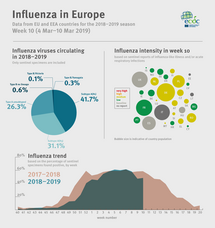Weekly influenza update, week 10, March 2019 Thumbnail