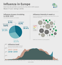 Infographic: Influenza in Europe, week 17 (22-28 April 2019) Thumbnail