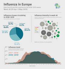 Weekly influenza update, week 18, May 2019 Thumbnail