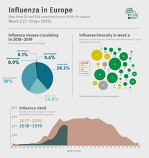 Weekly influenza update, week 2, January 2019 Thumbnail