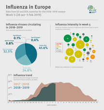 Weekly influenza update, week 5, January - February 2019 Thumbnail