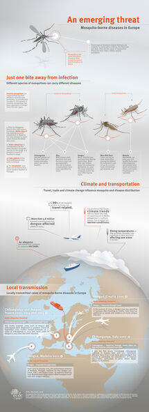 An emerging threat. Mosquito-borne diseases in Europe Thumbnail